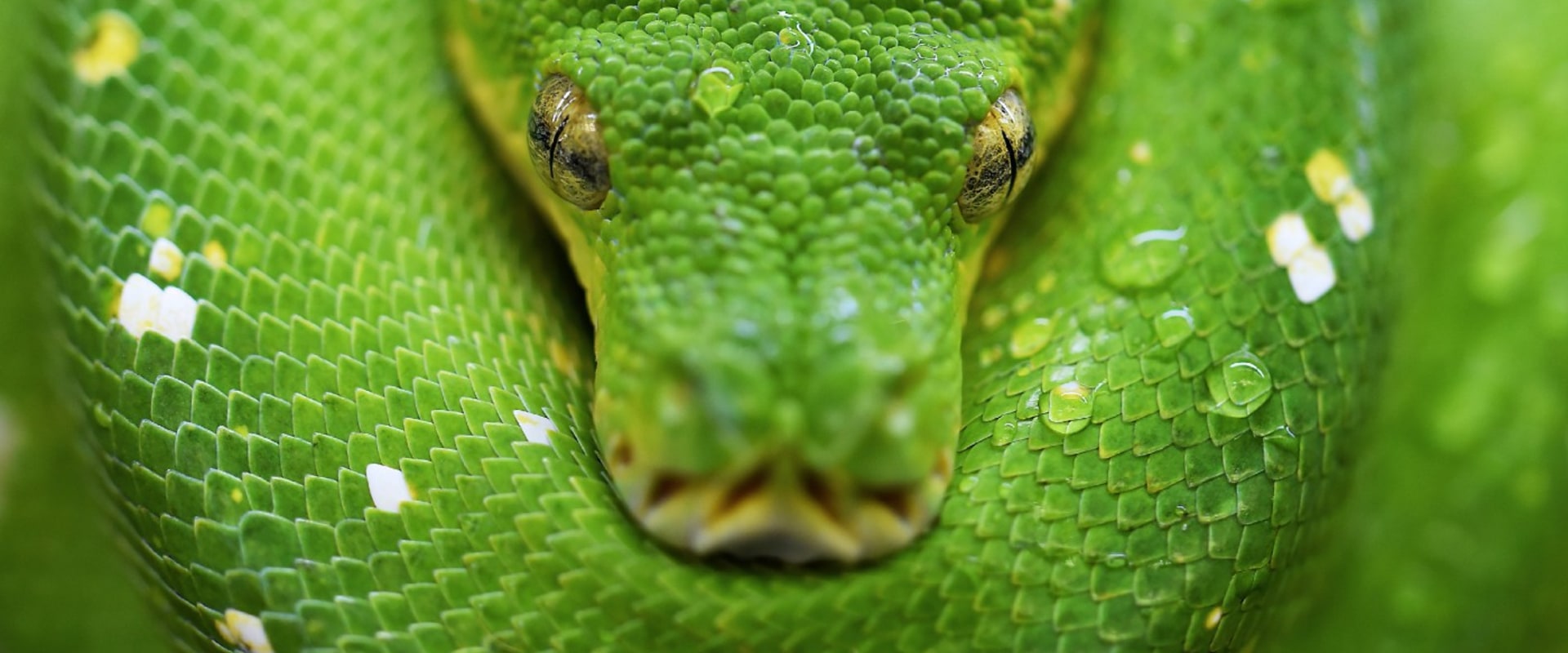How to Truncate a Partitioned Table in BigQuery