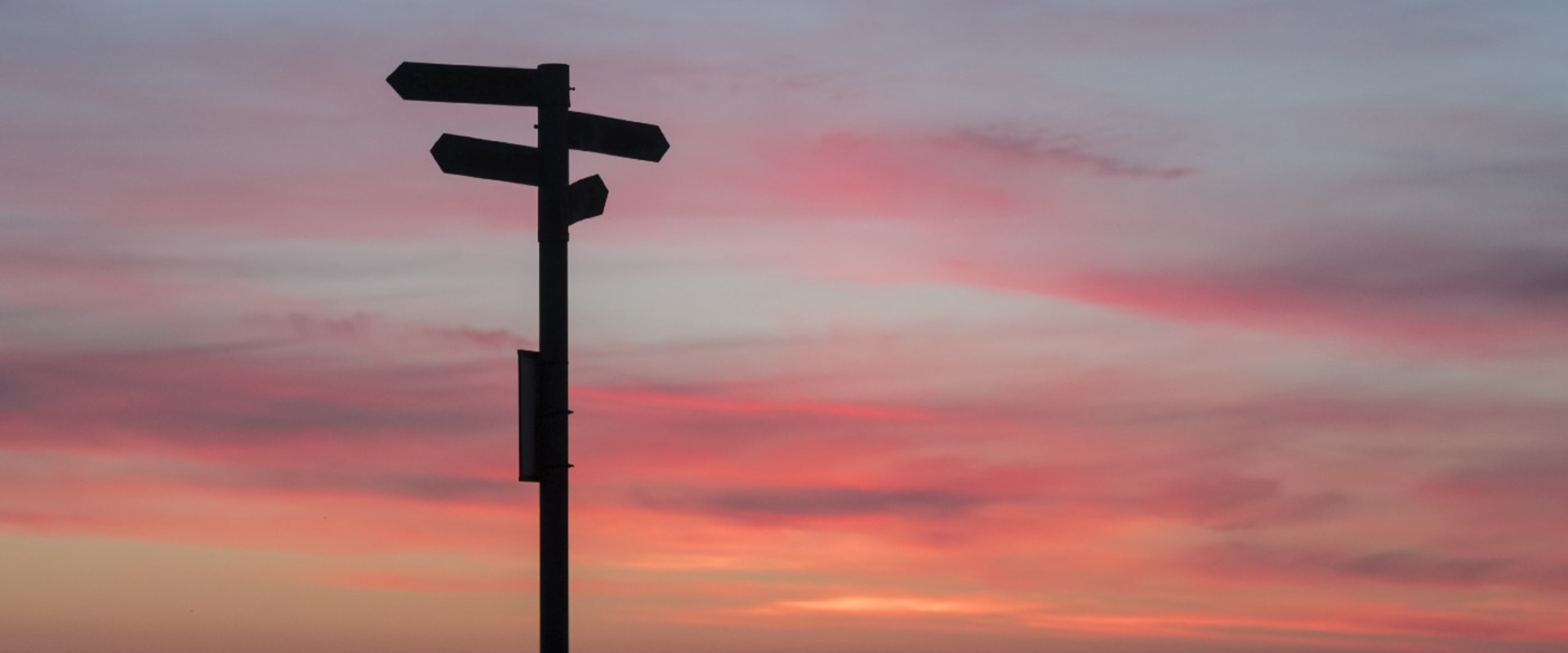 The Difference between Truncate, Delete and Drop in SQL