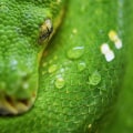 How to Truncate a Partitioned Table in BigQuery