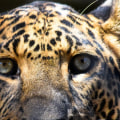 How to Avoid Truncation Errors in Your Data