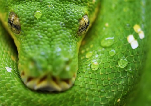 How to Truncate a Partitioned Table in BigQuery